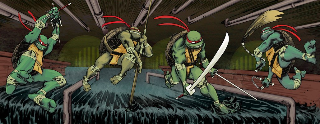 Teenage Mutant Ninja Turtles Comic Frame