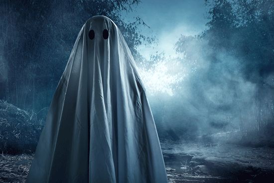 ghost, haunting, ghost costume, forest, night