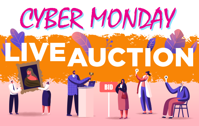 cyber monday live auction on facebook november 29