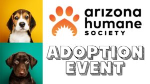 White background. Yellow background beagle pic on top left, chocolate lab with teal background square in bottom left. "Arizona Humane Society" in black type top right foreground. "Adoption Event" in block letters with shadow bottom half. Orange paw print humane society logo top middle.