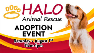 Halo animal rescue adoption event Saturday August 1st 11am-1pm