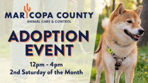 Maricopa County Animal Care & Control adoption event 12pm-4pm 2nd saturday of the month