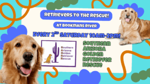 Retrievers to the rescue! at bookmans River Every 2nd Saturday 10am-2pm! Southern Arizona Golden Retriever Rescue