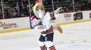 tucson roadrunners storytime event image