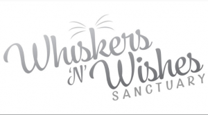 Whishkers "N" Wishes logo. Their brand name in cursive font over a white backround.