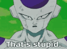 Dragonball Z characters saying "stop being stupid," "you're stupid," and that's stupid"